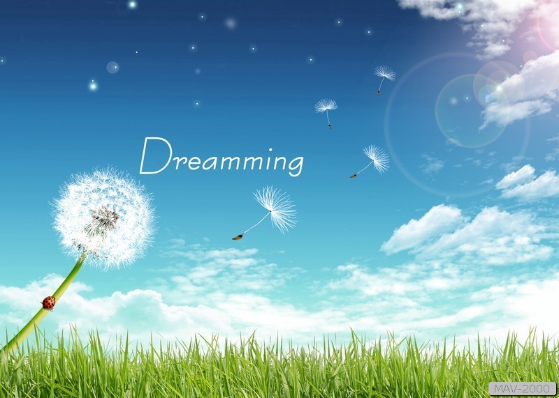 Tranh dán tường phòng bếp