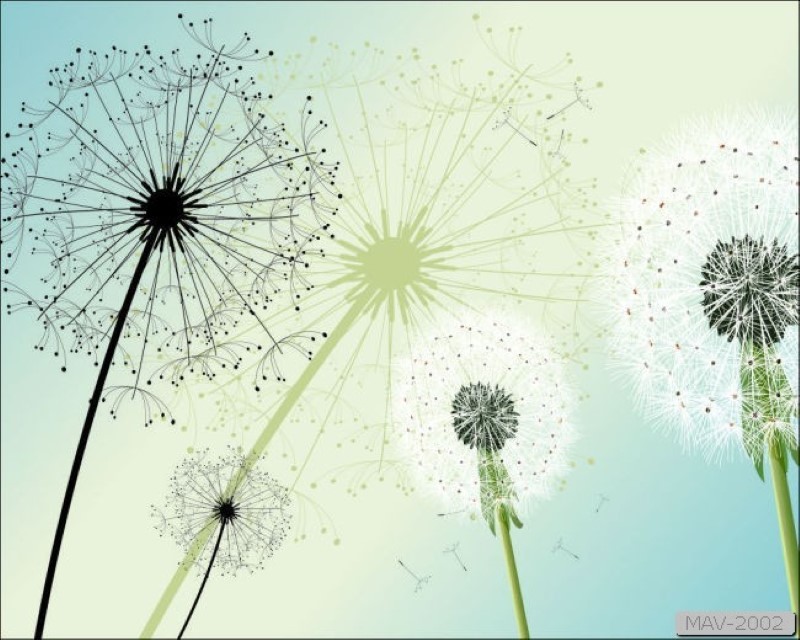 Tranh dán tường phòng bếp